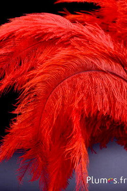 Strauss - 32-42 cm - hellgrau-blutorange